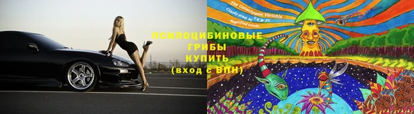 мдпв Бабаево