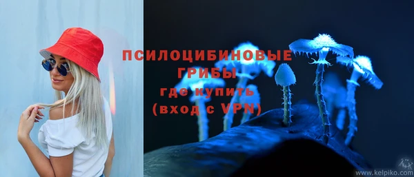 ешки Кукмор